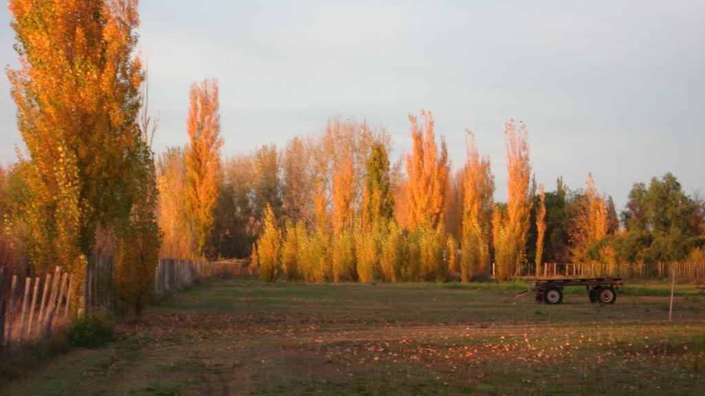 Posada Del Viajero San Rafael Zewnętrze zdjęcie