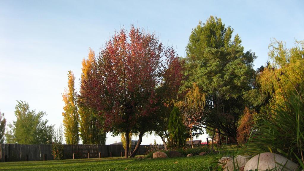 Posada Del Viajero San Rafael Zewnętrze zdjęcie