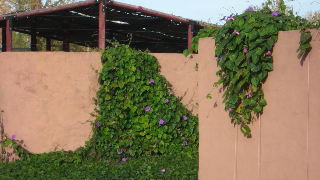 Posada Del Viajero San Rafael Zewnętrze zdjęcie